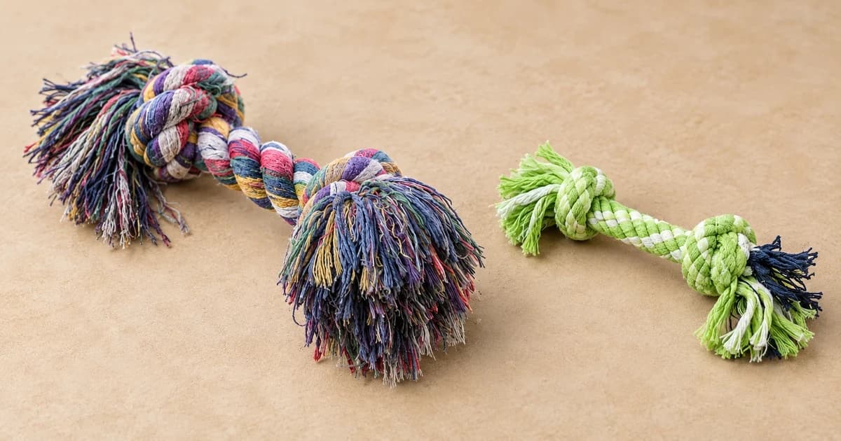 Two separate knotted rope toys, one multicolored and one green and navy, on a sand-colored tabletop.