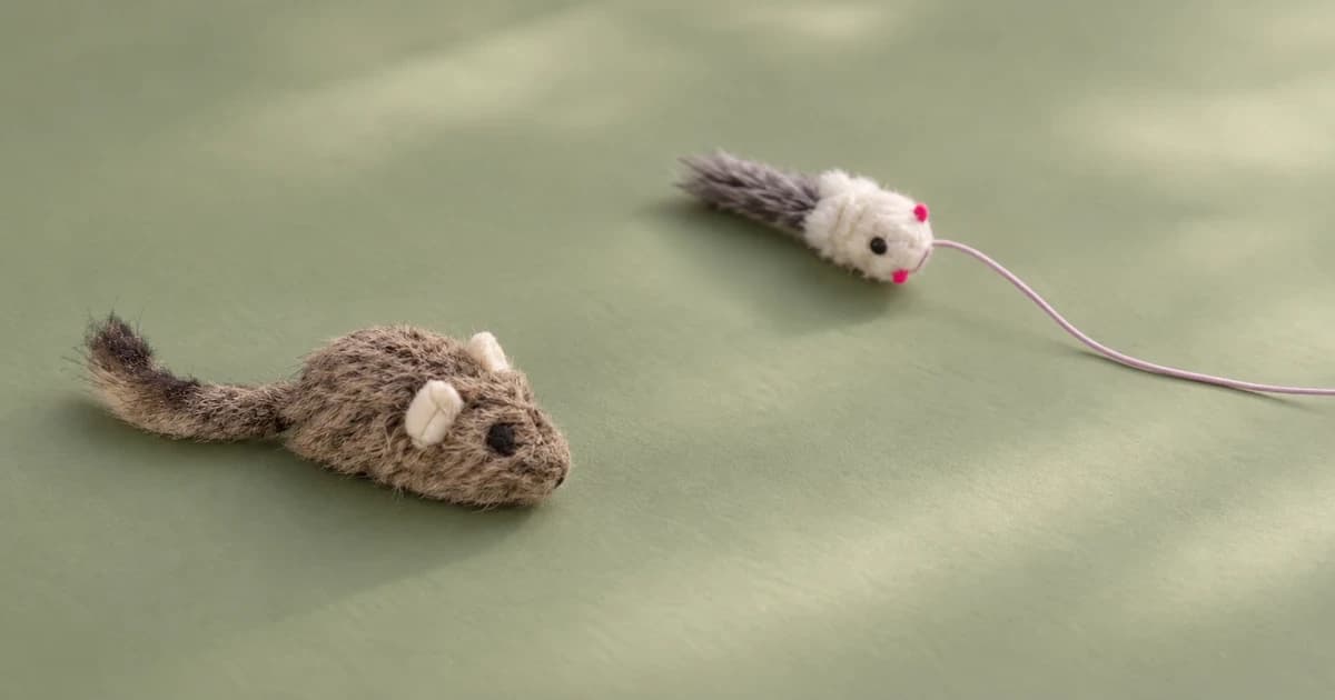 A brown plush mouse toy and a separate pale mouse lure with a resting line on a muted green floor.