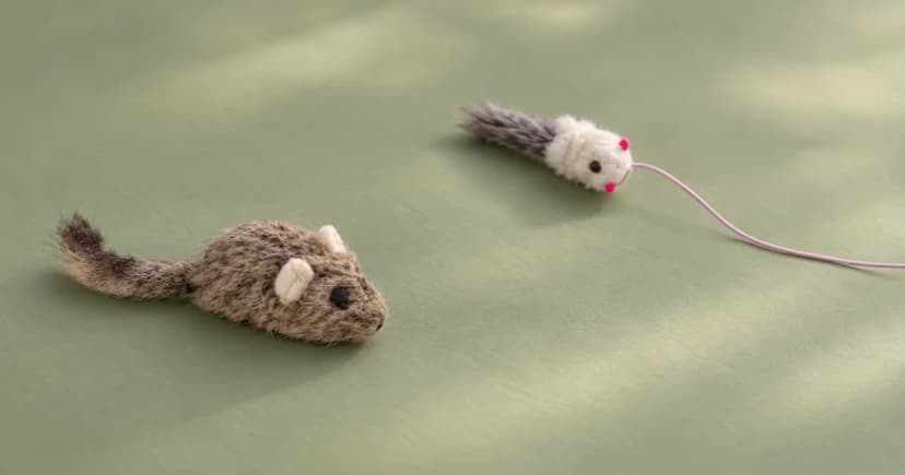 A brown plush mouse toy and a separate pale mouse lure with a resting line on a muted green floor.