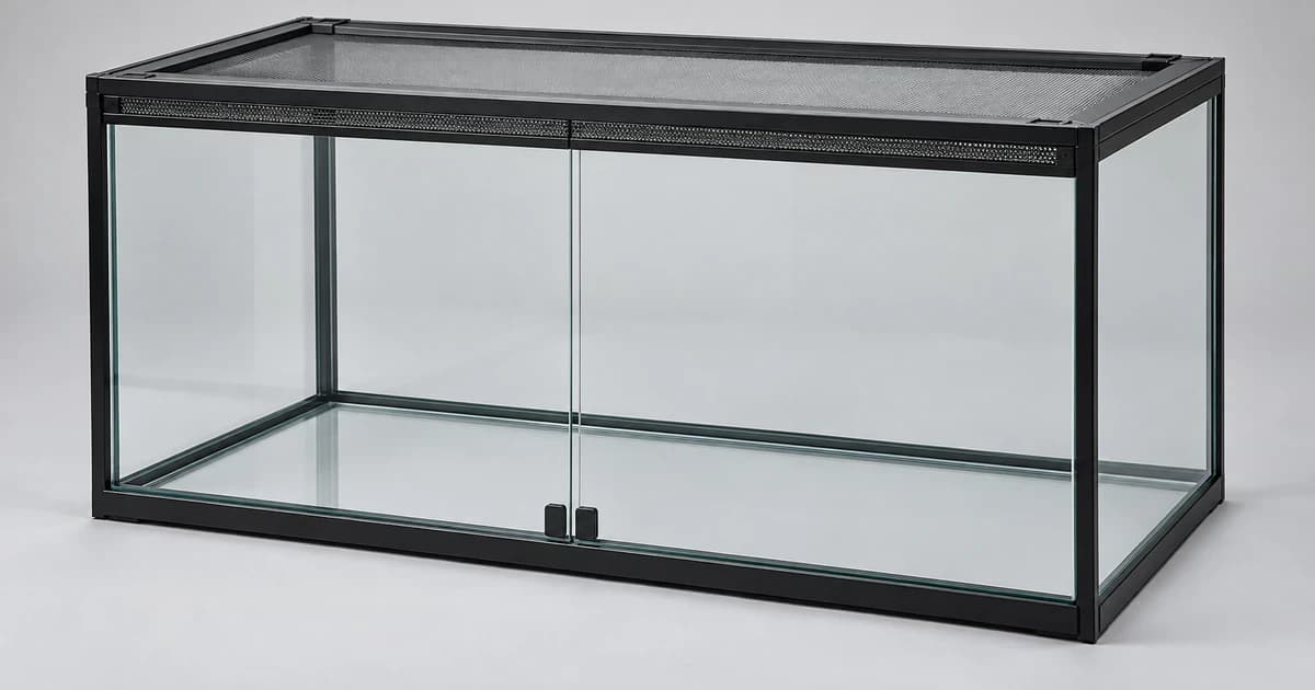 Edited generic empty front-glass reptile enclosure on a neutral surface