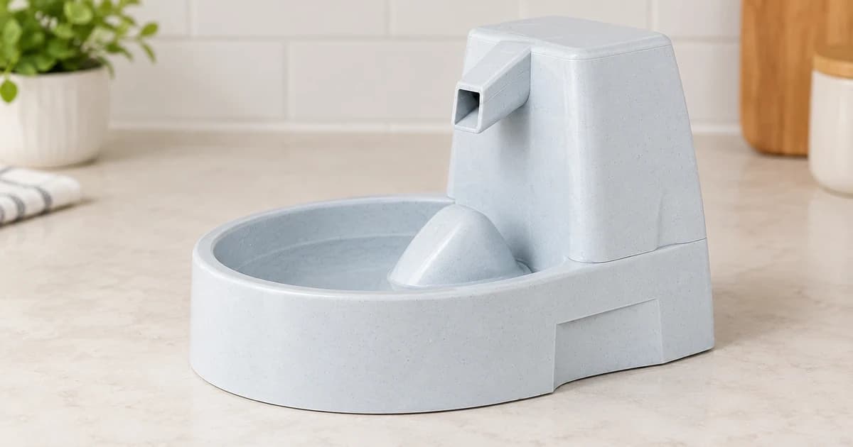 Generic gray fountain with a raised outlet and basin on a light countertop, shown without an animal or running water.