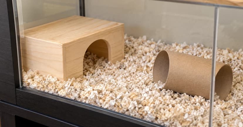 Low wooden hide and broad plain tunnel on loose bedding inside a generic empty glass-sided hamster habitat.