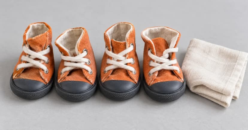 Edited illustration of four generic dog boots with open tops beside a folded cloth on a plain table.