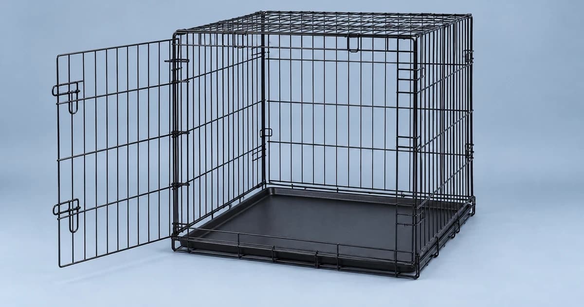 Edited illustration of an empty wire crate with an open front door
