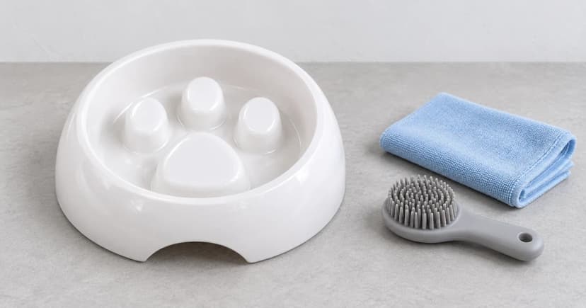 Photo-based edited illustration of a white slow feeder bowl with raised interior shapes and separate generic care tools