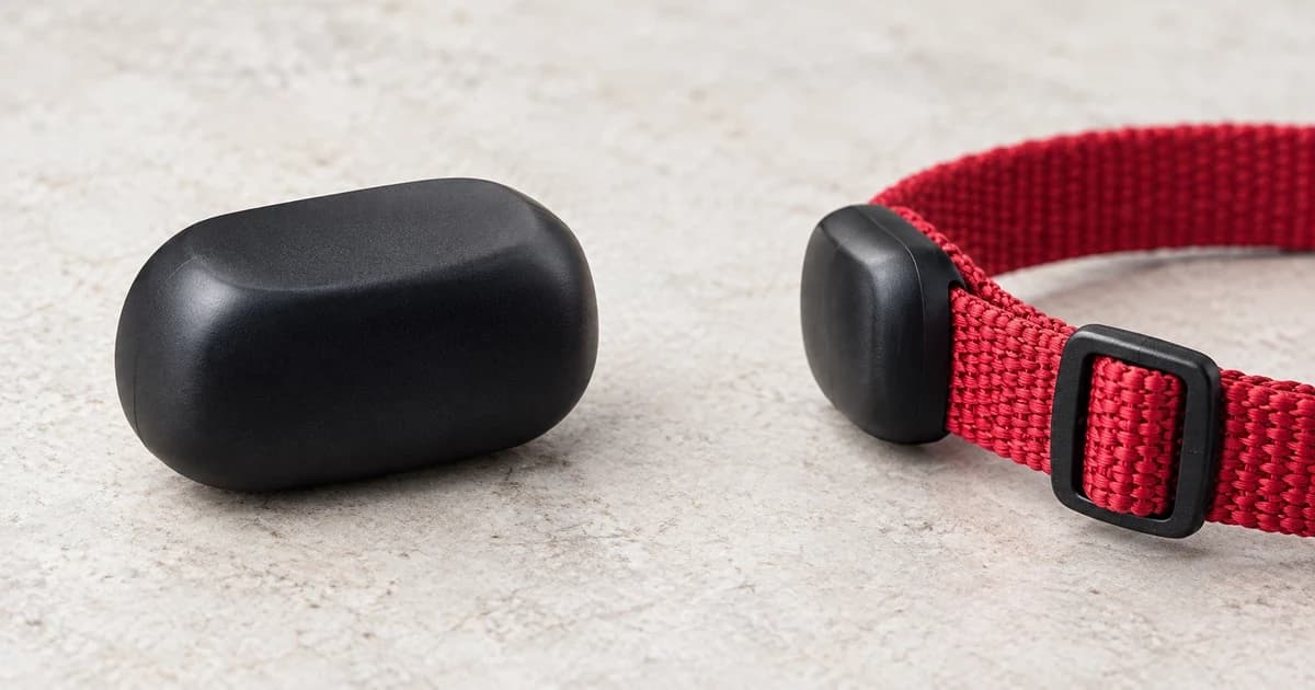 Edited illustration of a detached black case with a separate red strap and case-edge detail