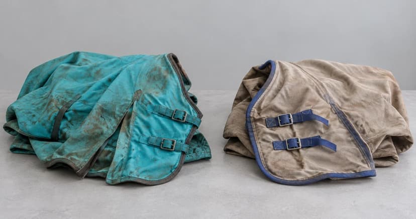 Edited illustration of separate turquoise and taupegray horse blankets loosely folded on a tabletop