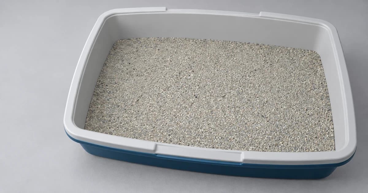 Edited illustration of a plain open litter tray containing generic pale grey granules