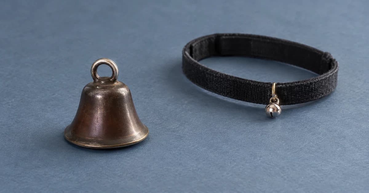 A flared bell beside a black collar loop with a small bell on a blue-grey tabletop.