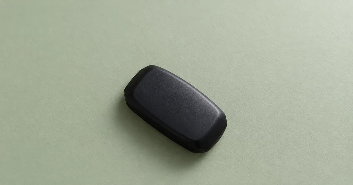 A rounded black case lying diagonally on a pale green tabletop.
