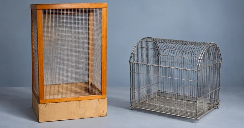 A wood-framed mesh enclosure beside a separate arched wire bird cage on a pale tabletop.