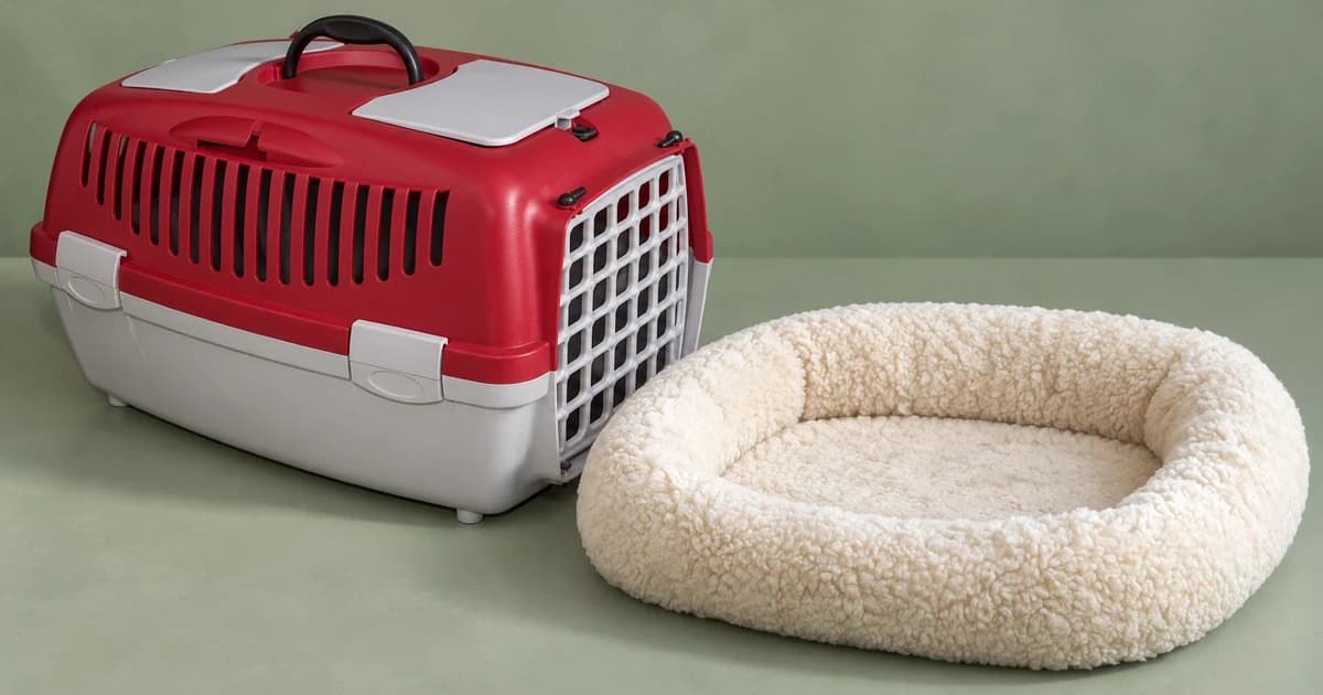 Independent red-and-gray carrier and cream oval bed exteriors on a sage tabletop.