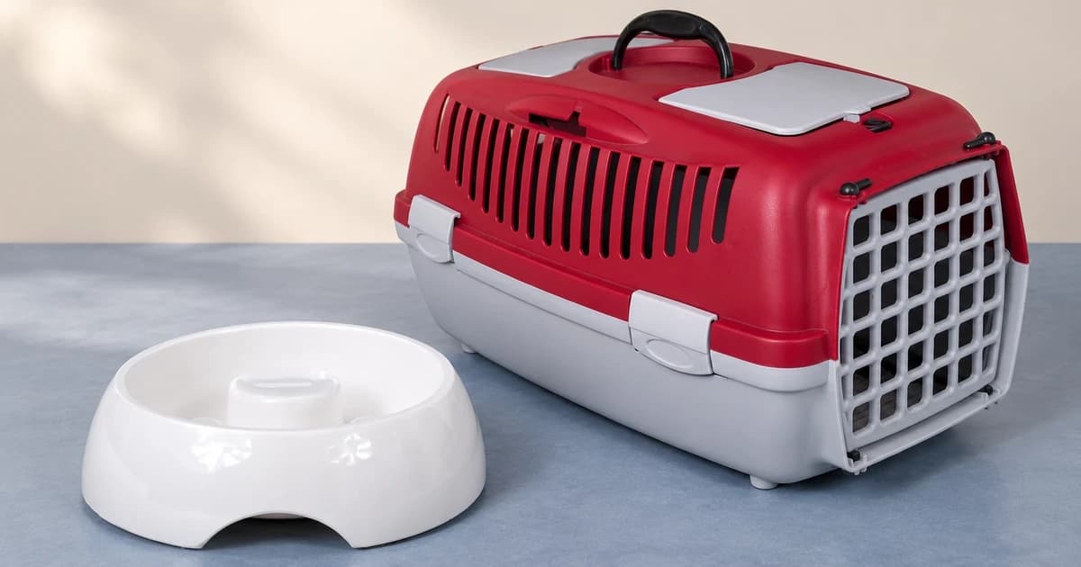 A white feeding bowl and a separate closed red and gray pet carrier.