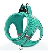 Reflective Dog Leash for Medium and Large Dogs — collection imagery