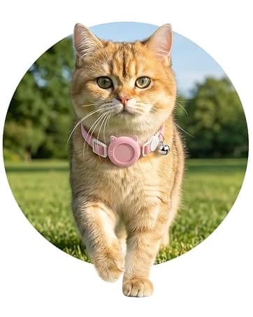 Pink Bow Cat Harness and Leash Set — Escape Proof — collection imagery
