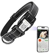 QR Code Cat Tag — Modifiable Pet Online Profile Page — collection imagery