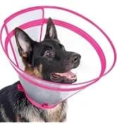 Dog Cone to Stop Licking — Clear Recovery Collar with Detachable Zipper — collection imagery
