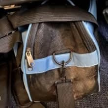 Cat Carrier — Soft-Sided Pet Travel Carrier for Cats — Fits Underneath airplant seat