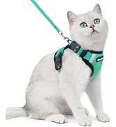 Cat Harness and Leash Set — Adjustable Pet Straps — collection imagery