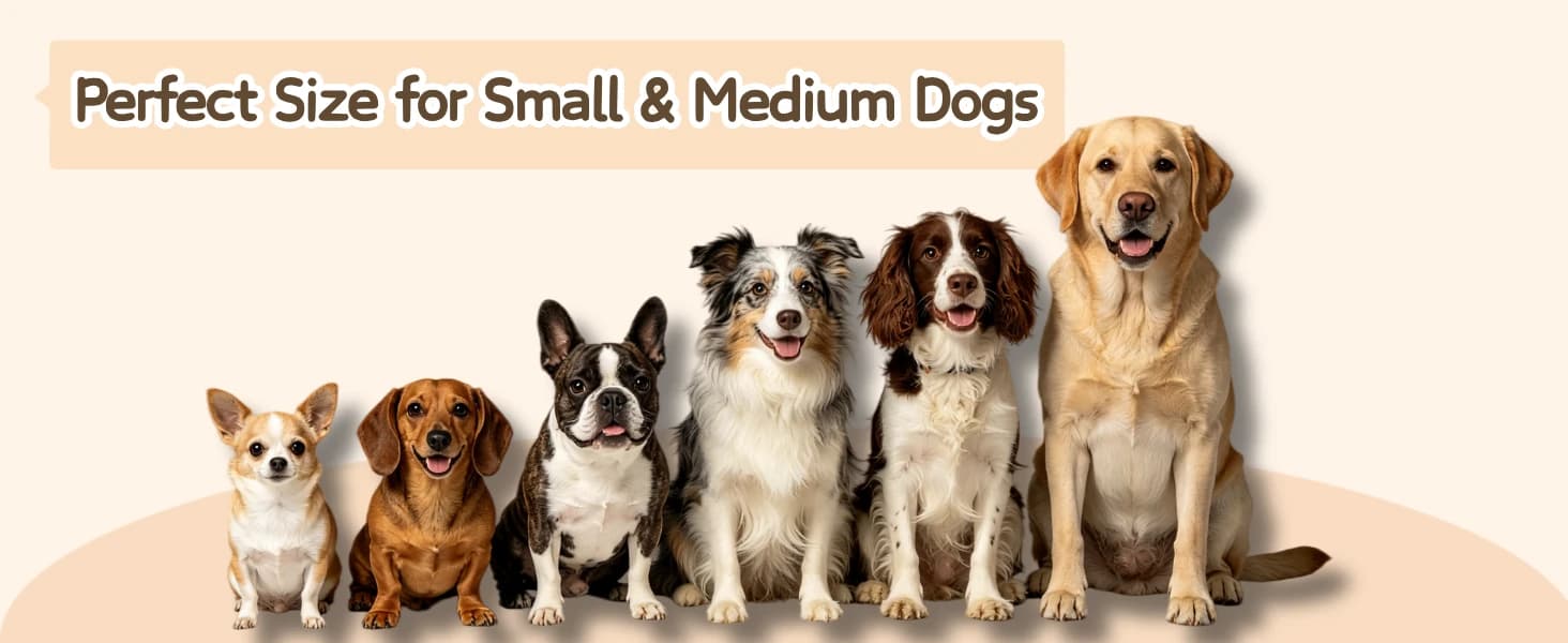 5 Pack Plush Squeaky Dog Toys for Small Dog — product details
