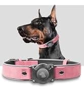 AirTag Dog Collar Holder Compatible with Apple Air Tag — 1st & 2nd Gen — collection imagery