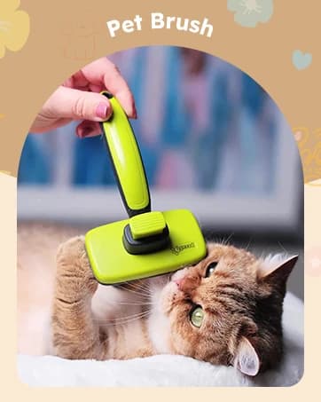 2-in-1 Cat Window Perch and Wall Shelves — collection imagery