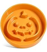 Dog Bowls Slow Feeder Ceramic — 1.5 Cup Slow Feeding Bowl for Small and Medium Breed — collection imagery