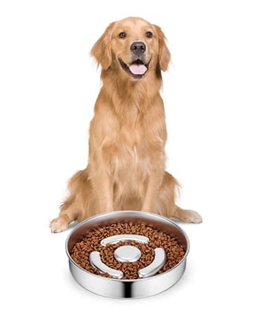 Slow Feeder Dog Bowl Stainless Steel — Metal Non-Slip Dog Food Bowls — collection imagery