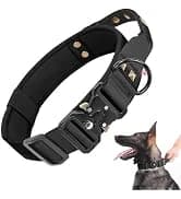 Reflective Dog Collar — Adjustable Nylon for Medium Dogs — collection imagery