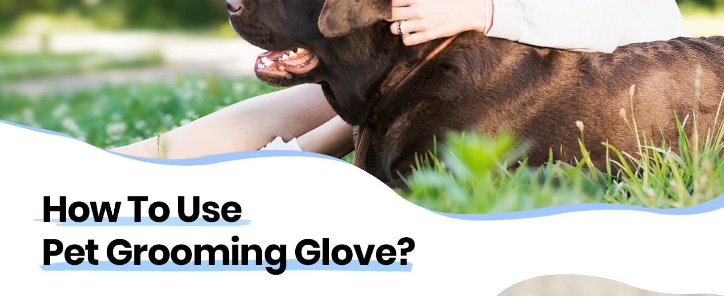 Pet Hair Removal Glove with 255 Silicone Tips for Dogs and Cats — product details
