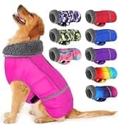 Dog Winter Coat with Harness — collection imagery