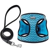 2 Pack Dog Leash — Heavy Duty Nylon Rope Pet Leashes — collection imagery
