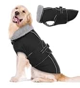 Dog Coat Warm Dog Winter Coat Waterproof Dogs Jacket with Harness — collection imagery