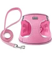 Reflective Dog Collar — Puppy Collar with Buckle Adjustable — collection imagery