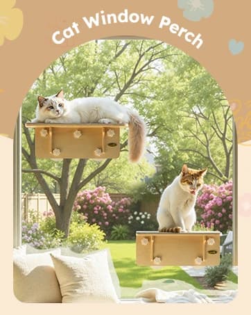 2-in-1 Cat Window Perch and Wall Shelves — collection imagery
