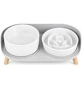 Elevated Slow Feeder Dog Bowl — collection imagery
