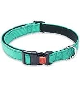 2 Pack Dog Leash — Heavy Duty Nylon Rope Pet Leashes — collection imagery