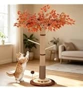 38" Tall Sisal Cat Scratching Post with Stable Base for Indoor Adult Cats — collection imagery