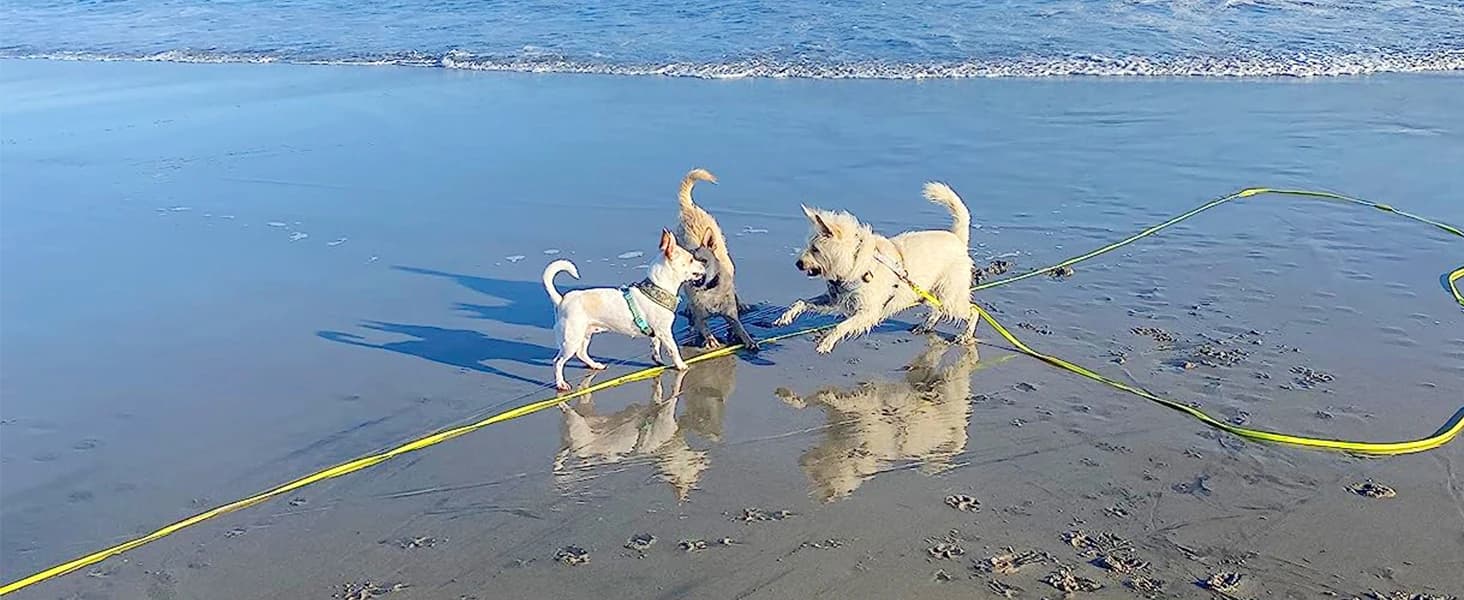 Long Dog Leash Waterproof Training Leashes 50ft 30ft 20ft 15ft 10ft 6ft — Waterproof Long Dog Leash