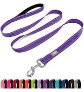 Reflective Dog Collar — Adjustable Nylon for Medium Dogs — collection imagery