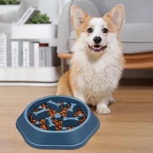 Slow Feeder Dog Bowl — Anti-Chocking Slower Feeding Pet Puzzle Bowls — Slow Eating Bowl