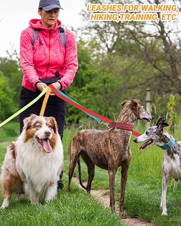 12 Pack Bulk Dog Leashes — 6FT Pet Lead Leash with Swivel Hook — collection imagery