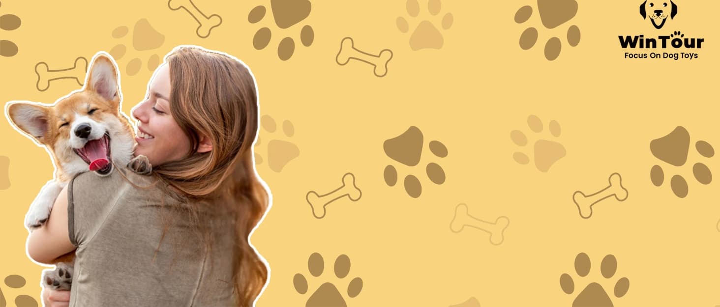 Tough Dog Toys for Aggressive Chewers — Indestructible Dog Chew Toys — collection imagery