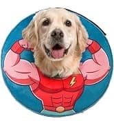 Dog Leash for Large Dogs — 5FT Heavy Duty Rope Leash Bulk — collection imagery