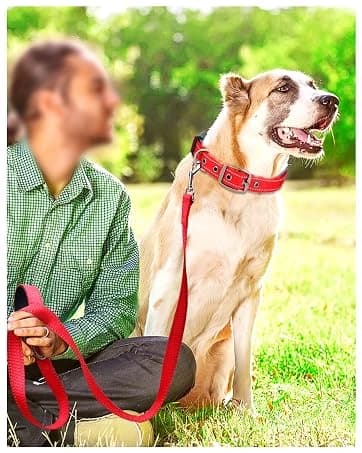 Reflective Dog Leash for Medium and Large Dogs — collection imagery