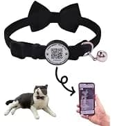 Leather Cat Collar with Bell Breakaway- Adjustable — collection imagery