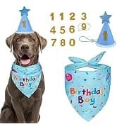Dog Birthday Party Supplies — Dog Birthday Bandana — collection imagery