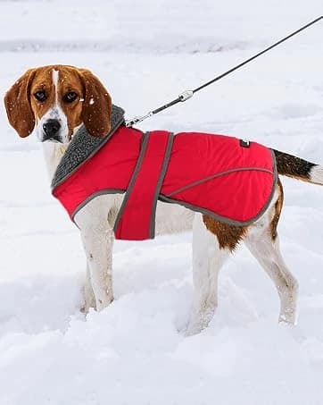 Dog Winter Coat with Harness — collection imagery