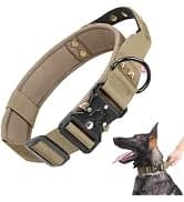 Reflective Dog Collar — Adjustable Nylon for Medium Dogs — collection imagery