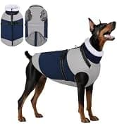 Reversible Dog Winter Coat — Dog Jacket for Small — collection imagery